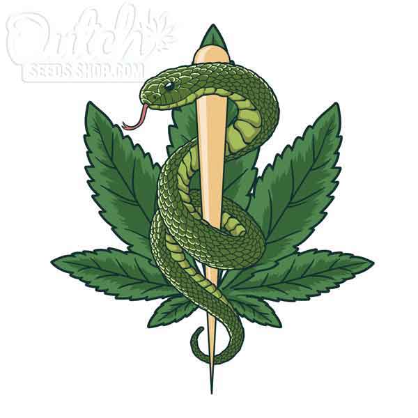 Absorption and Effects of THC on Snakes