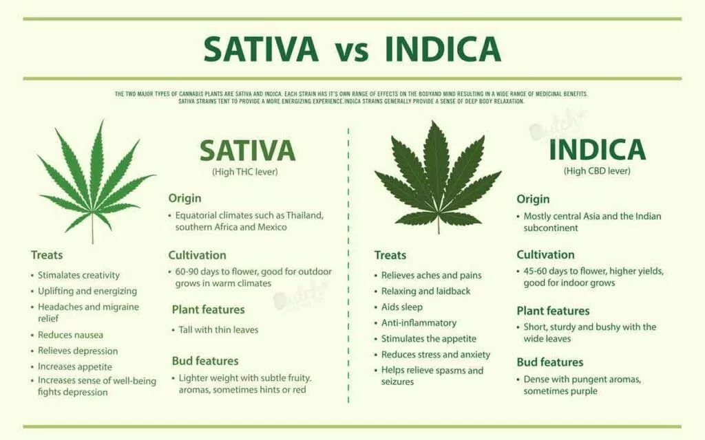 Appearance Of Indica And Sativa Plants