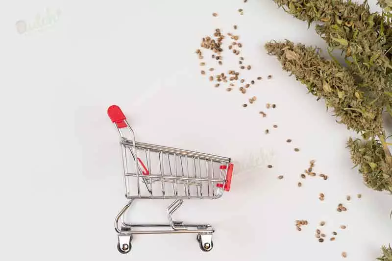 Buying Cannabis Seeds