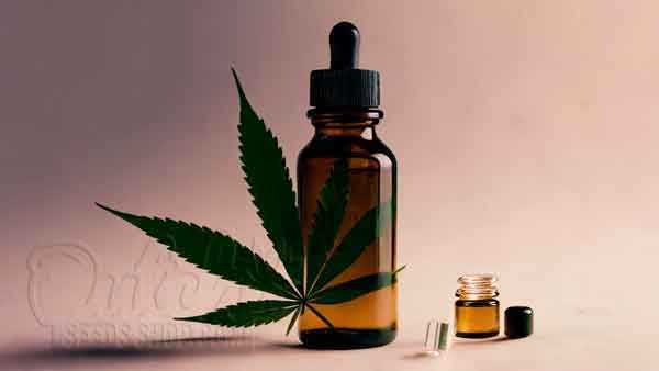 Cannabis Seeds Medical Uses And Hemp Oil