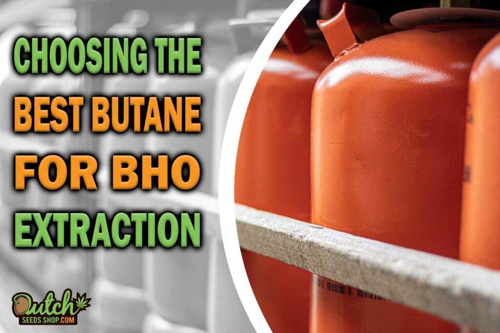 Choosing The Best Butane For BHO Extraction