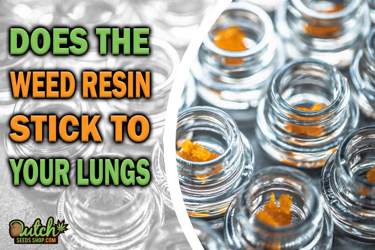Does Weed Resin Stick to Your Lungs?