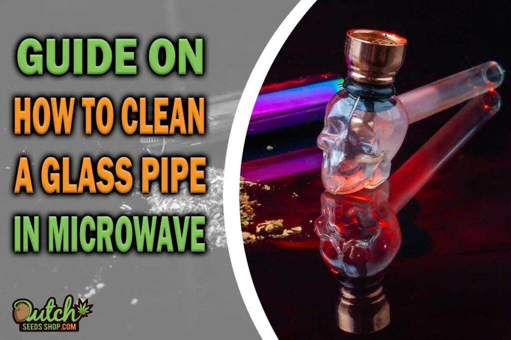 Guide On How To Clean A Glass Pipe In Microwave