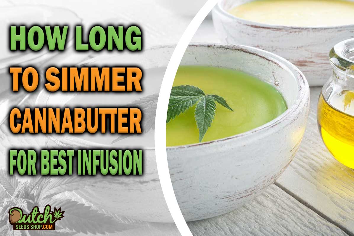 How Long to Simmer Cannabutter for Optimal Infusion