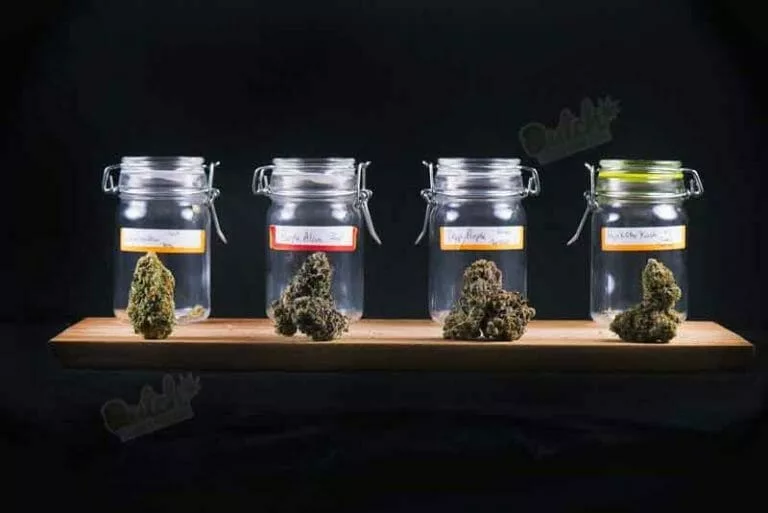 How To Store Your Cannabis