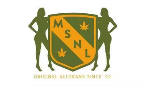 MSNL local seed banks near me