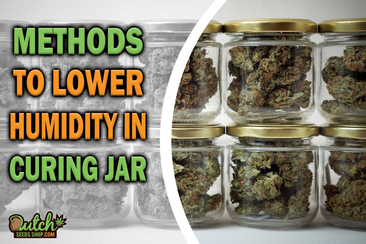 How to Lower Humidity in Curing Jar
