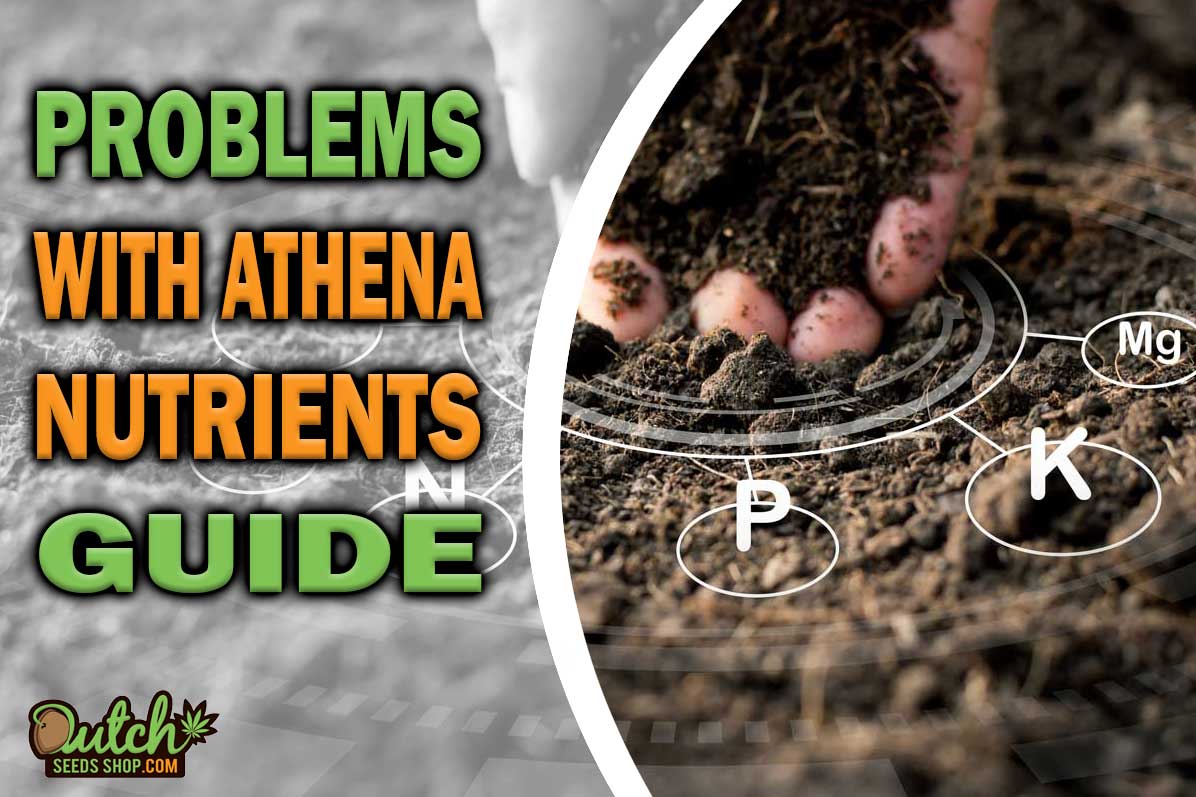 Common Problems with Athena Nutrients: Troubleshooting Guide