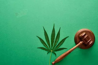 State Legal And Federal Laws On Medical Marijuana