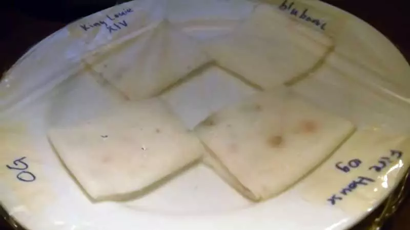 Step 1 Placing Paper Towels on a Plate