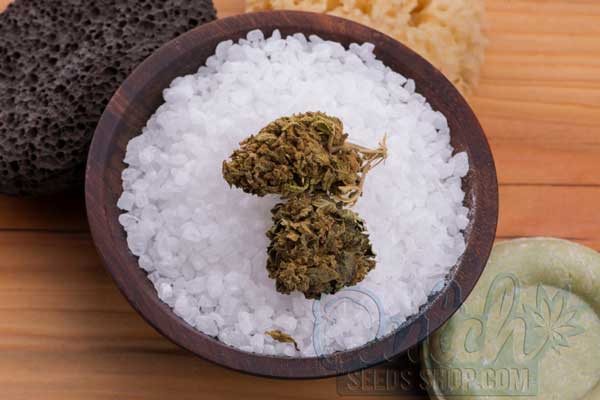 The Benefits of Epsom Salt for Cannabis Plants