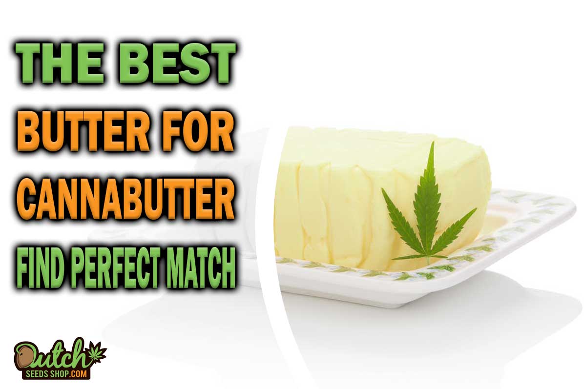 The Best Butter for Cannabutter: Finding the Perfect Match