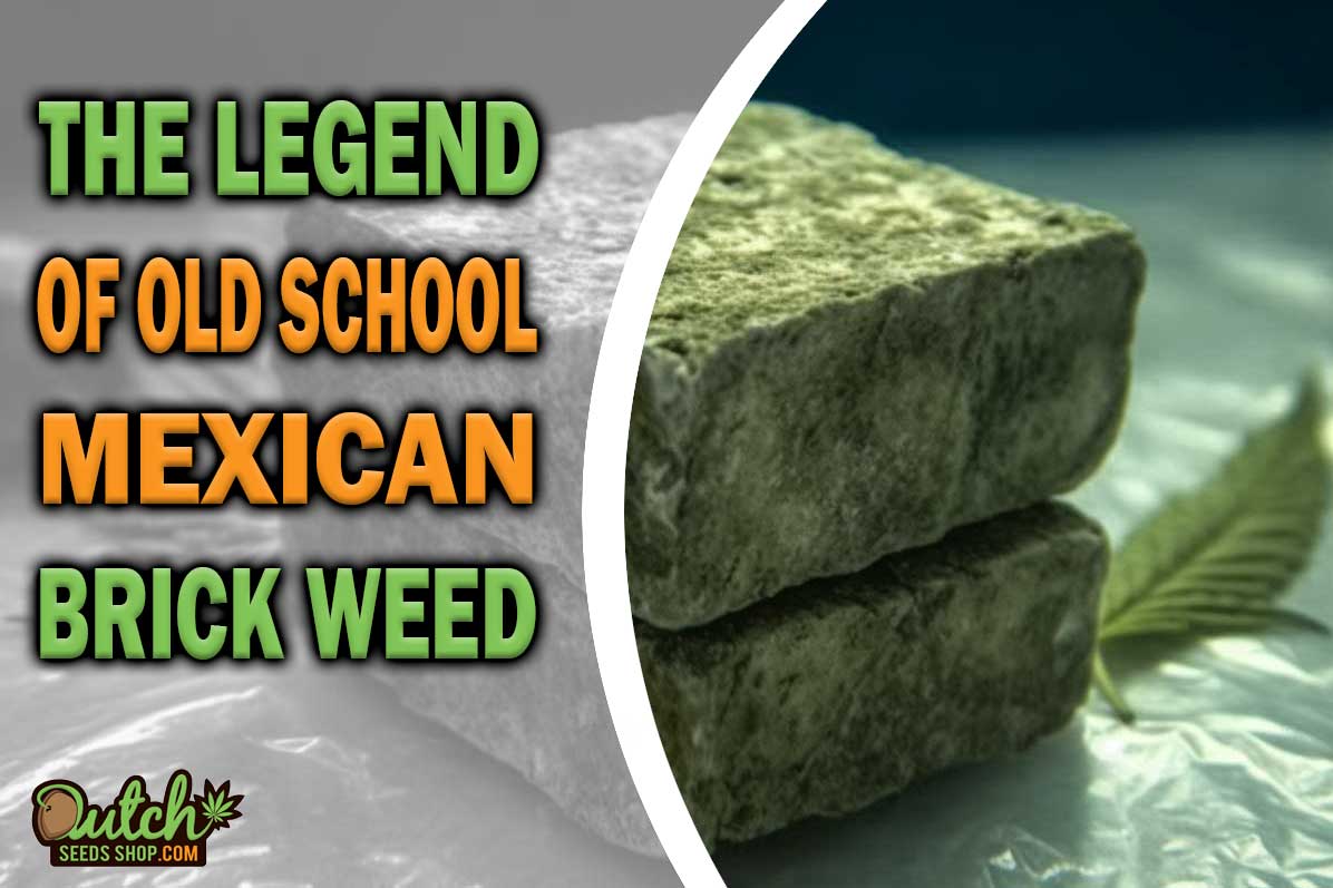 The Legend of Old School Mexican Brick Weed DSS