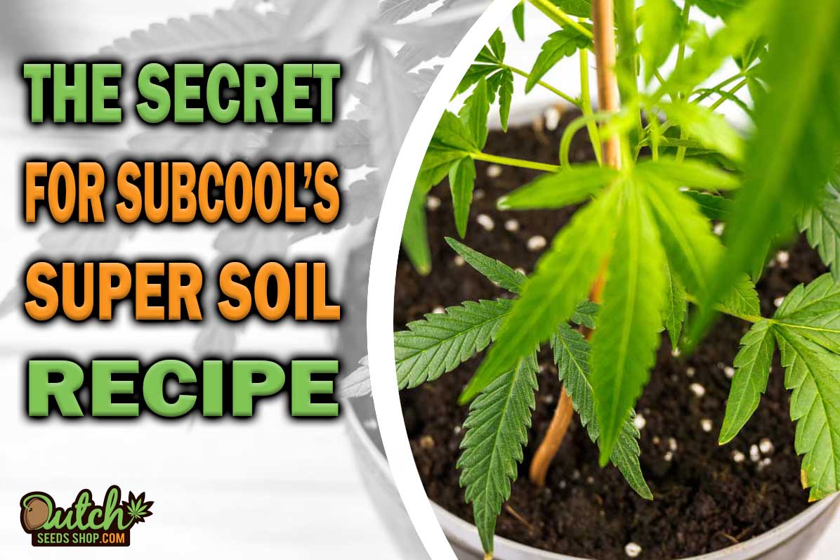 The Secret Recipe for SubCool’s Super Soil
