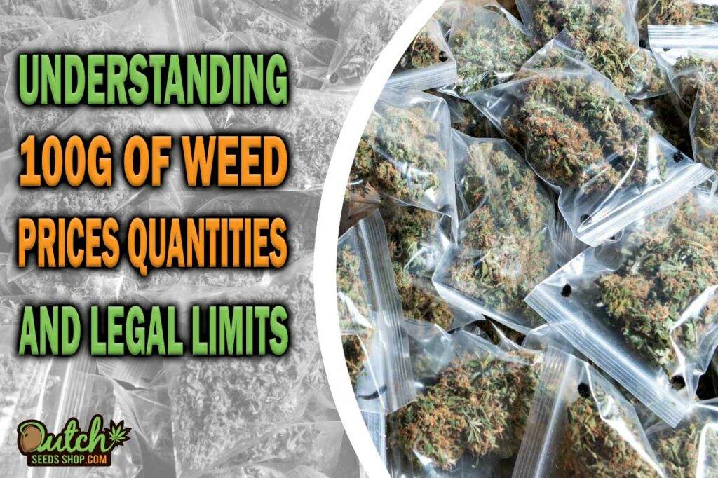 Understanding 100g Of Weed Prices Quantities And Legal Limits