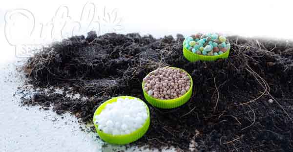 Understanding Importance of Nutrients and Fertilizers