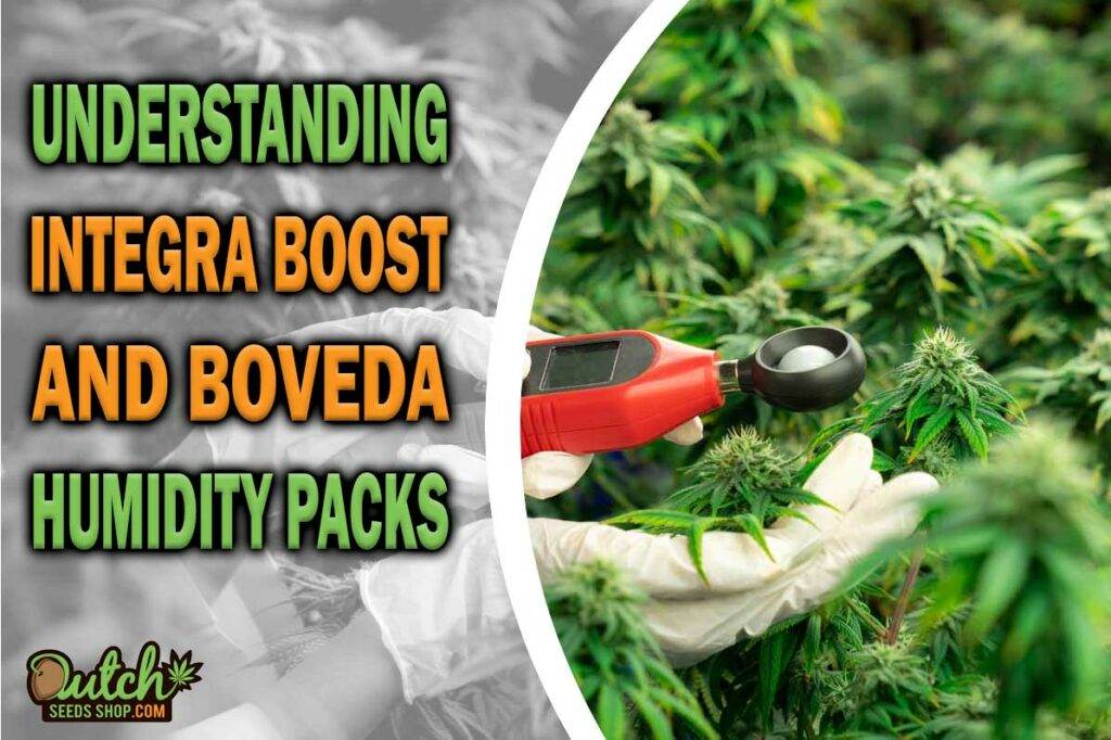 Understanding Intregra Boost And Boveda Humidity Packs