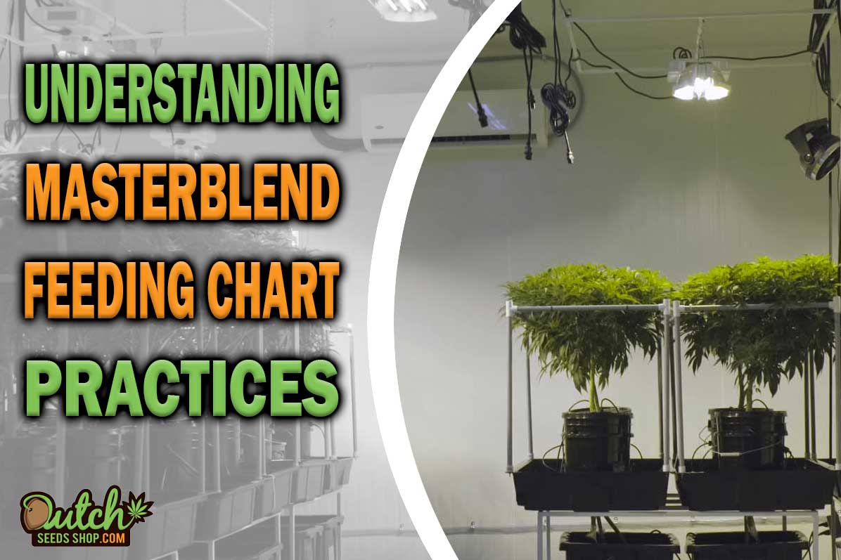 Masterblend Feeding Chart DSS