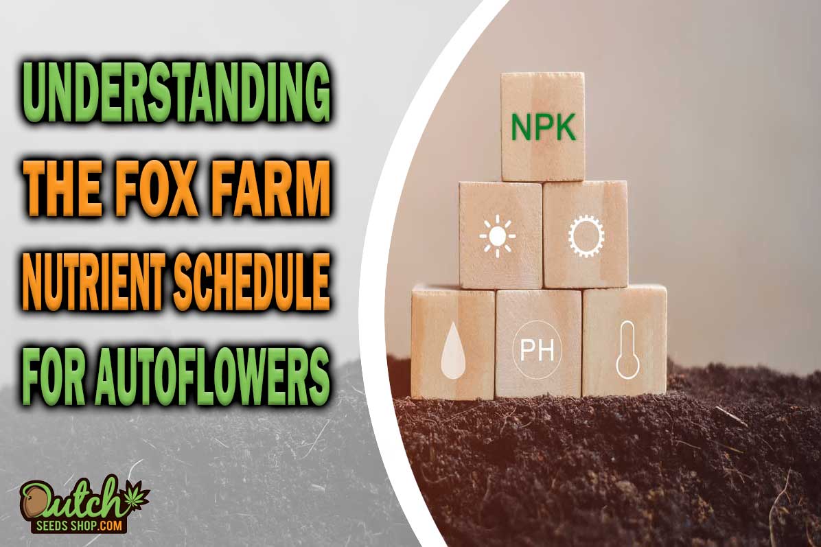 The Fox Farm Feeding Schedule for Autoflowers