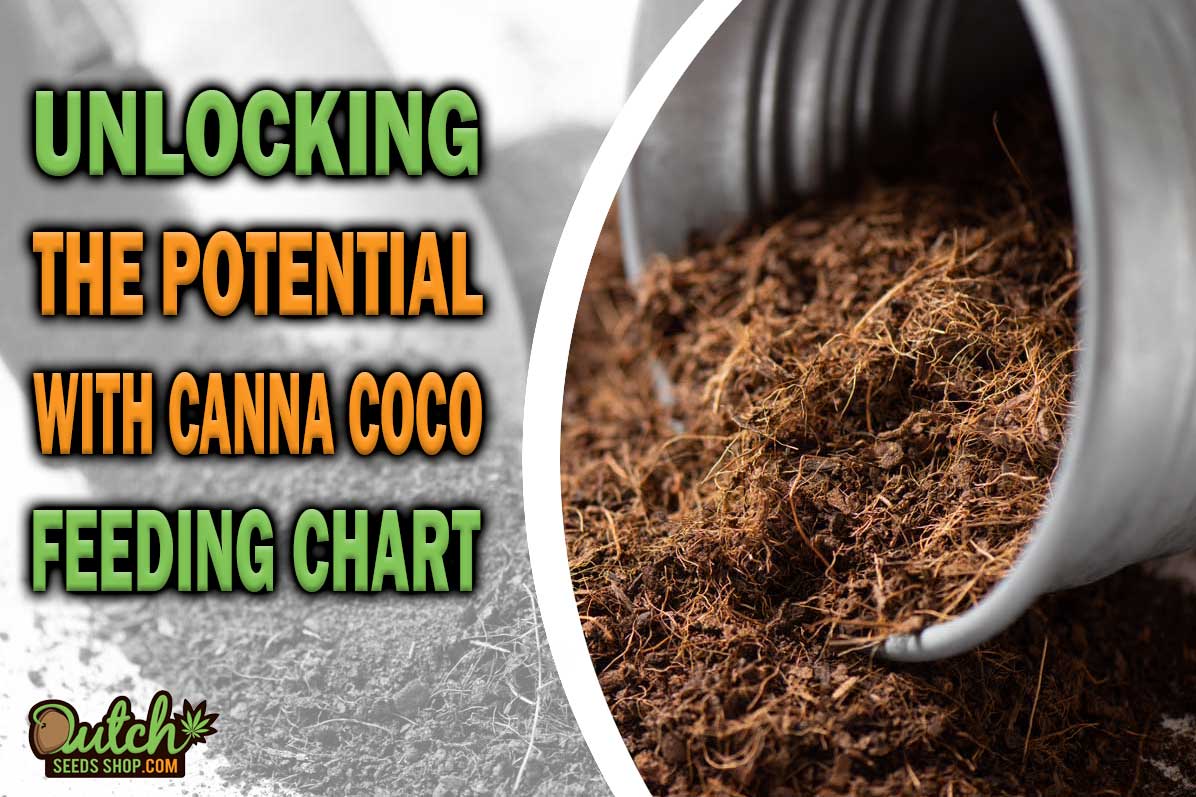 Unlocking the Potential with Canna Coco Feeding Chart
