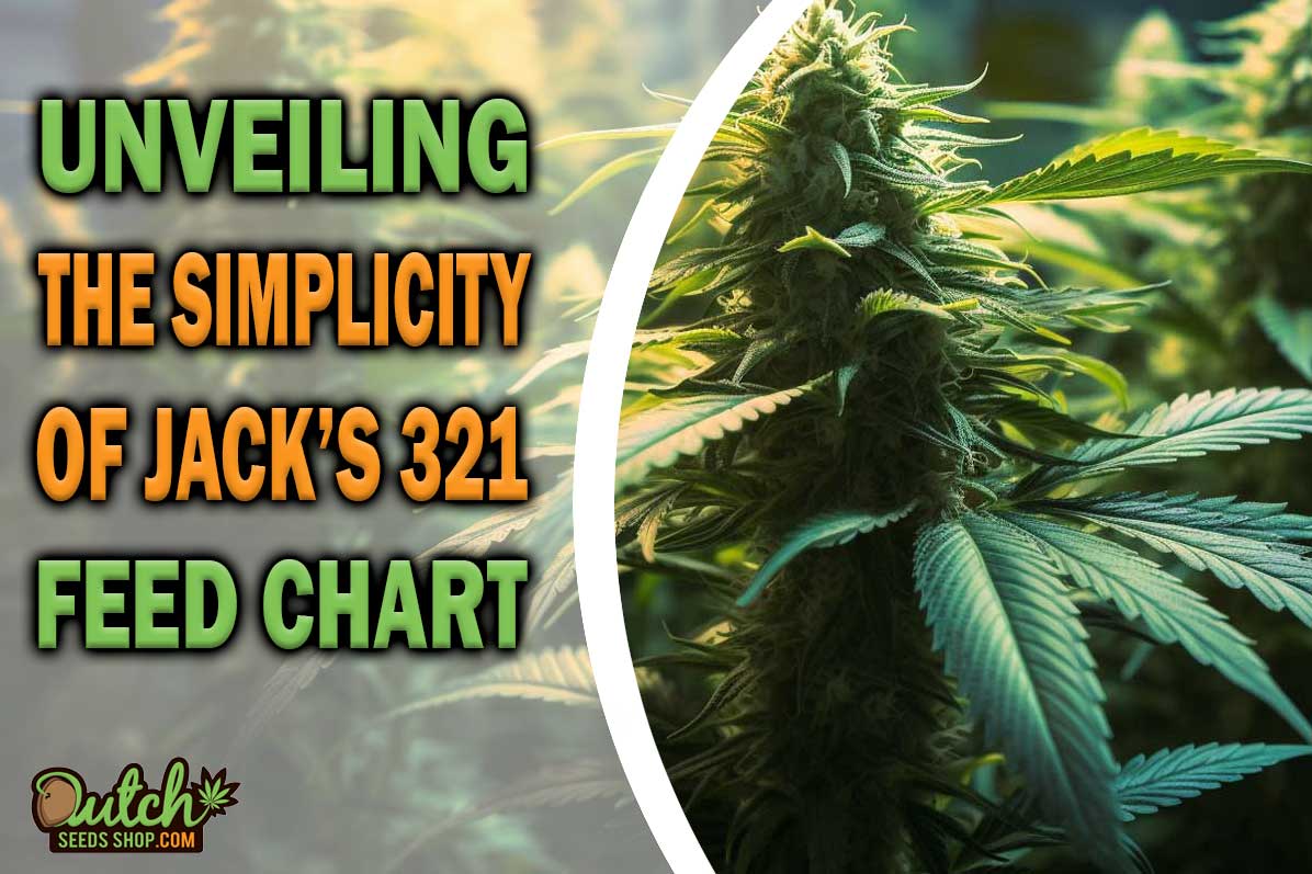 Unveiling the Simplicity of the Jack’s 321 Feed Chart