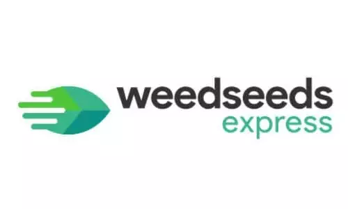 Weedseed Express Seeds Bank