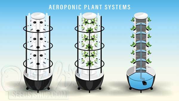 Grow Systems and Setups: What Is and How Aeroponics Work?