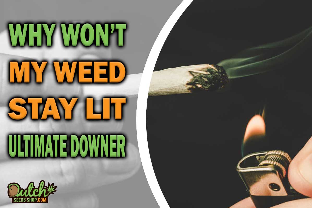 Why Won’t My Weed Stay Lit? The Ultimate Downer