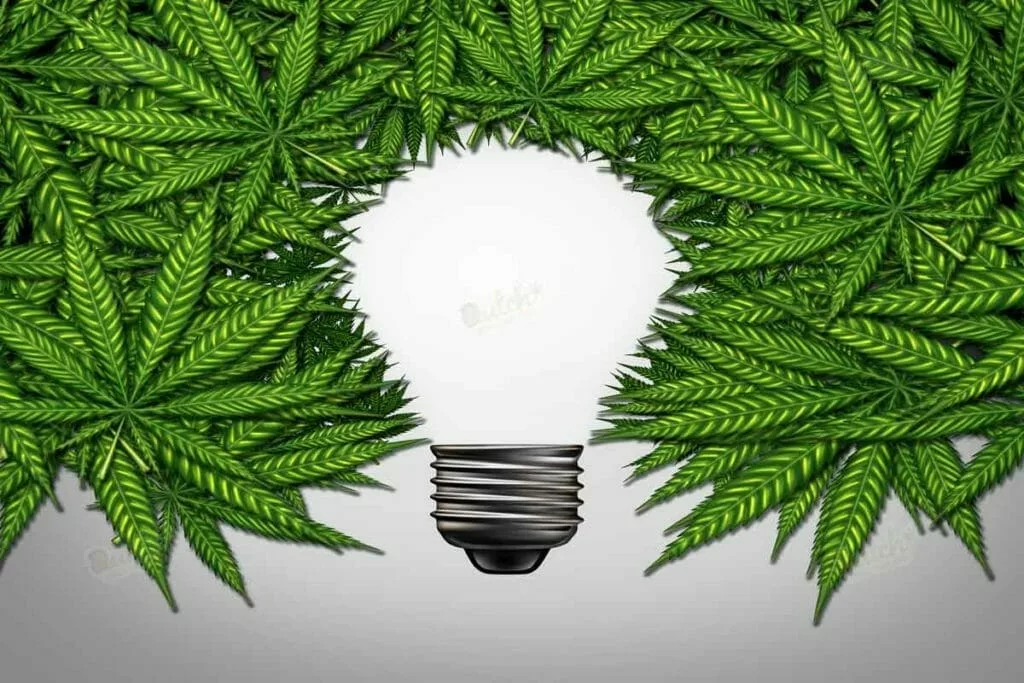 cannabis creative ideas